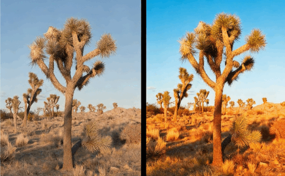 300种摄影胶片模拟调色艺术LR预设合集(图4)