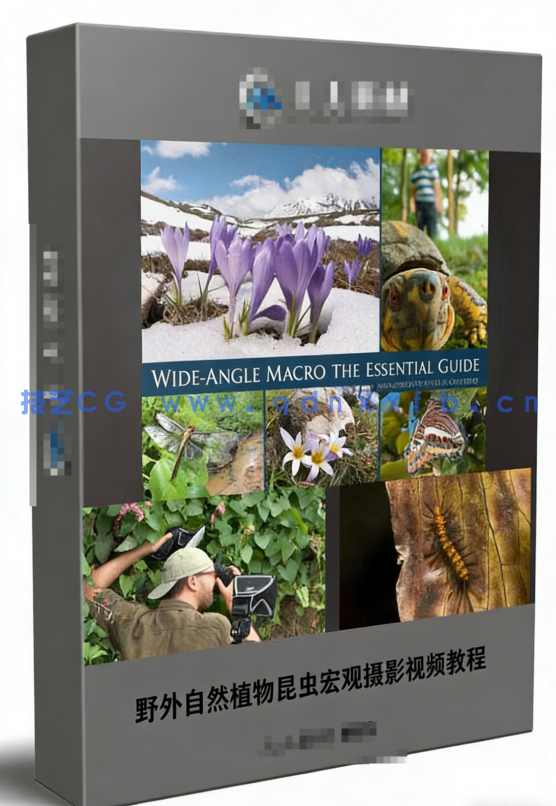 野外自然植物昆虫宏观摄影视频教程(图5)