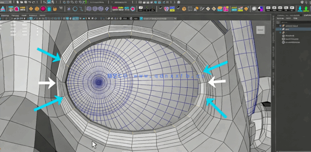  Maya动画角色模型拓扑核心技术视频教程 (图2)