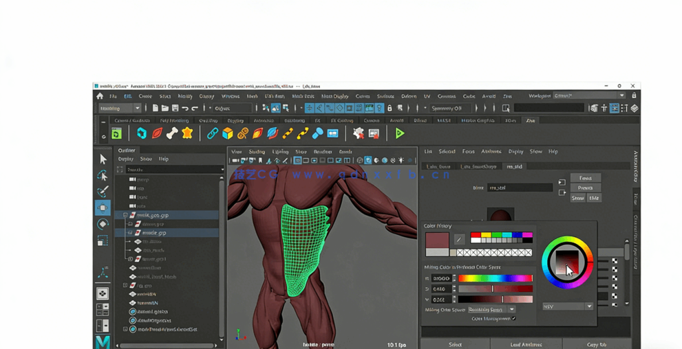 Maya中Ziva VFX人体骨骼组织模拟动画视频教程第一季(图3)