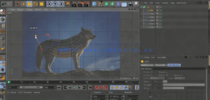 Cinema 4D低聚狐狸模型实例制作视频教程(图4)