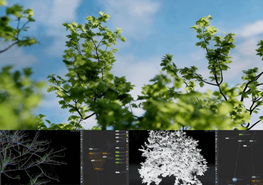 【中文字幕】Houdini中KineFX和Labs Tree Tools插件创建程序化树木生长动画视频教程(图5)