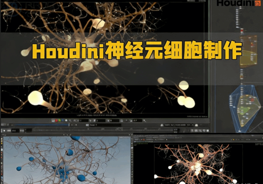 Houdini神经元细胞视觉特效制作视频教程(图1) Houdini神经元细胞视觉特效制作视频教程(图1)