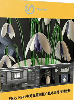 VRay Next中灯光照明核心技术训练视频教程(图1)