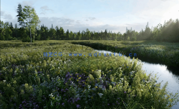 高质量花草Evermotion – Archmodels Vol.235(图2)