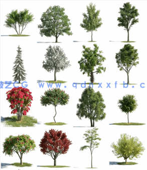 Evermotion Archmodels for Corona Vol. 1(树木合集)(图5)