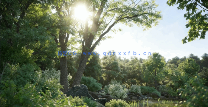 Evermotion Archmodels for Corona Vol. 1(树木合集)(图2)