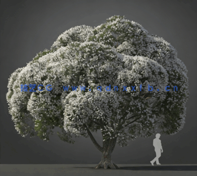 树木Evermotion Archmodels Vol.210(图3)