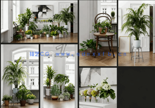  室内盆栽植物Evermotion - Archmodels vol.282(图2)
