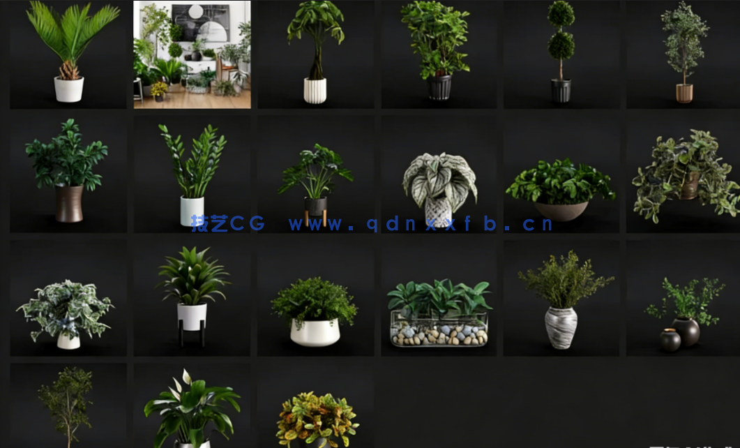 室内植物模型。你可以丰富你的形象，使你的投资组合更有吸引力(图1)