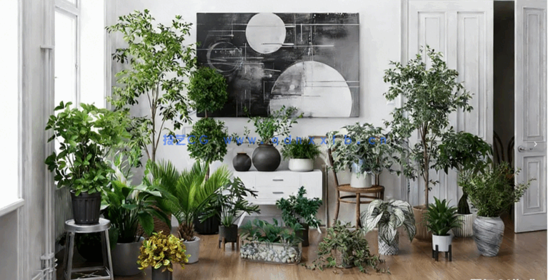 室内植物模型。你可以丰富你的形象，使你的投资组合更有吸引力(图2)