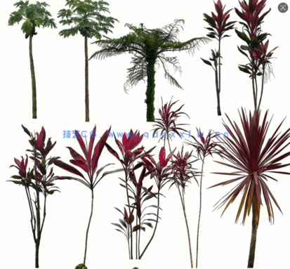 高清植物免抠素材PHOTOBASH – Prehistoric Plants(图2)