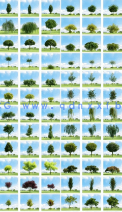 Evermotion Archmodels Vol.136 室外高精度植物模型(图2)