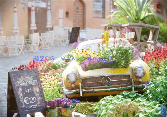 花园植物花朵3D模型 Evermotion Archmodels Vol.183(图2)