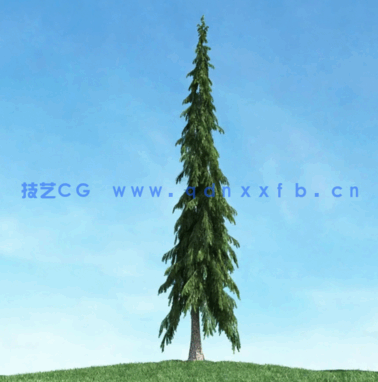 树木合集archmodels vol.117(图3)