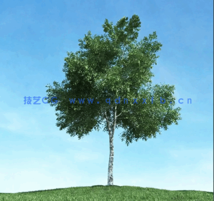  Archmodels Vol.106 (3D树木合集)(图1)