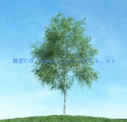  Archmodels Vol.106 (3D树木合集)(图2)