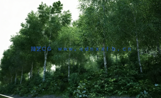  Archmodels Vol.106 (3D树木合集)(图5)