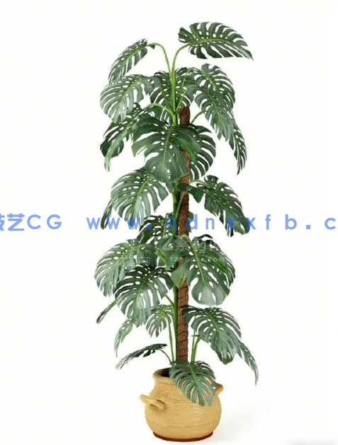 Archmodels vol. 75 室内植物小品(图1)