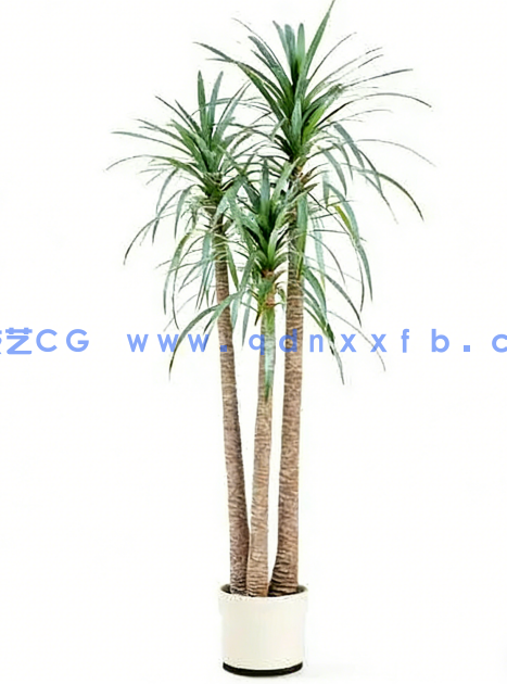 Archmodels vol. 75 室内植物小品(图6)