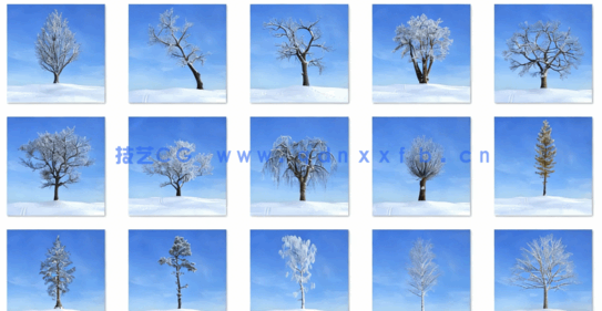 秋冬树木Evermotion Archmodels vol.100(图1)