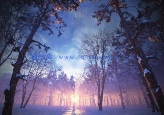 秋冬树木Evermotion Archmodels vol.100(图4)