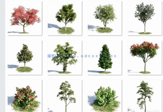 Archmodels.Vol.154精品植物免费下载(图2)