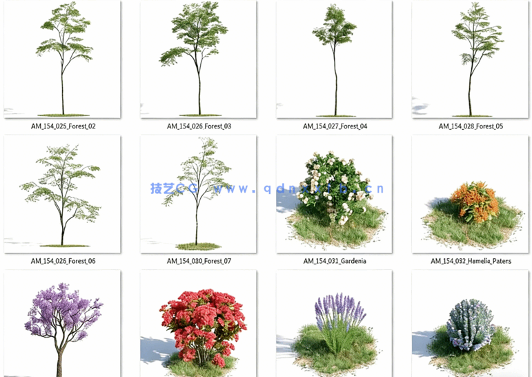 Archmodels.Vol.154精品植物免费下载(图5)