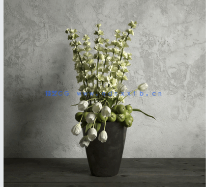 植物花卉盆栽 Evermotion ArchModels vol.173(图3)