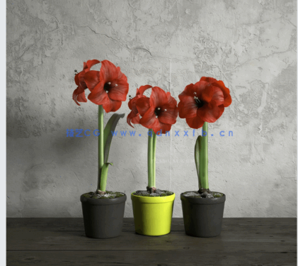 植物花卉盆栽 Evermotion ArchModels vol.173(图4)