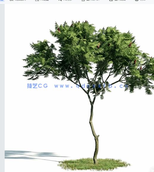 树植物模型Evermotion Archmodels vol. 171(图3)