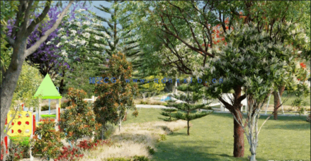 常见大洋洲树木 Globe Plants – Bundle 08(图3)