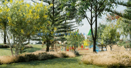 常见大洋洲树木 Globe Plants – Bundle 08(图4)