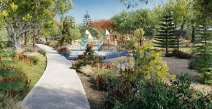 常见大洋洲树木 Globe Plants – Bundle 08(图5)