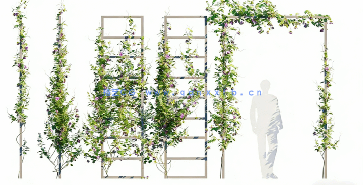 藤蔓植物Globe Plants – Bundle 23 – Vines and Creepers 03(图3)