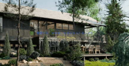 针叶树花园Globe Plants – Bundle 10 – Conifer Garden(图2)