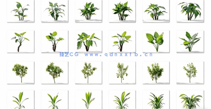 Plant Models Vol 19 植物绿植(图1)