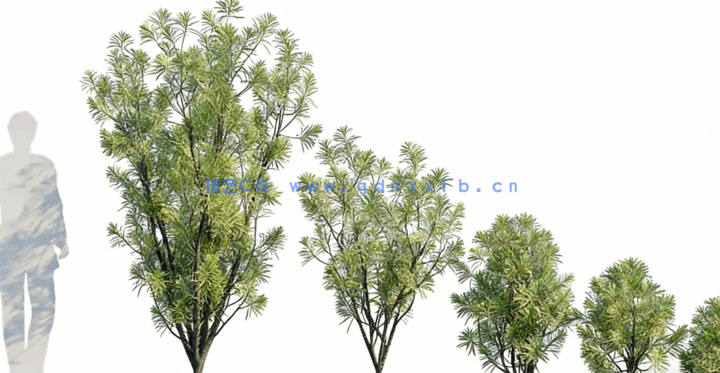 花园植物 Globe Plants – Bundle03 – Garden Plants(图2)