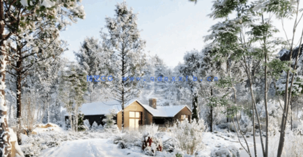 冬天落雪植物3D模型 Globe Plants – Bundle 35 – Winter Plants(图1) 冬天落雪植物3D模型 Globe Plants – Bundle 35 – Winter Plants(图1)