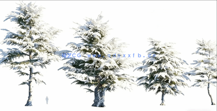 冬天落雪植物3D模型 Globe Plants – Bundle 35 – Winter Plants(图3) 冬天落雪植物3D模型 Globe Plants – Bundle 35 – Winter Plants(图3)