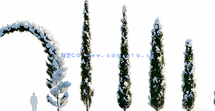 冬天落雪植物3D模型 Globe Plants – Bundle 35 – Winter Plants(图4) 冬天落雪植物3D模型 Globe Plants – Bundle 35 – Winter Plants(图4)