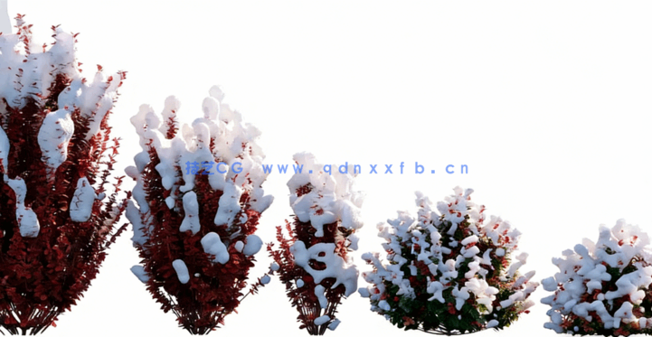 冬天落雪植物3D模型 Globe Plants – Bundle 35 – Winter Plants(图5) 冬天落雪植物3D模型 Globe Plants – Bundle 35 – Winter Plants(图5)