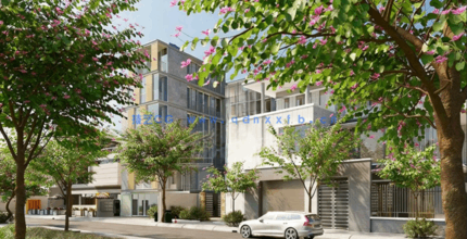 城市行道树3D模型Globe Plants - Bundle 65 - Street Trees(图2)