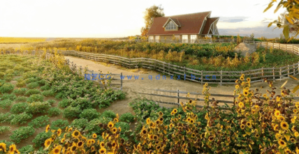 农业植物3D模型Globe Plants - Bundle 54 - Agricultural Plants(图5)