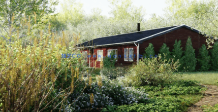 灌木和地被植物Globe Plants - Bundle 44 - Swedish Plant(图1)