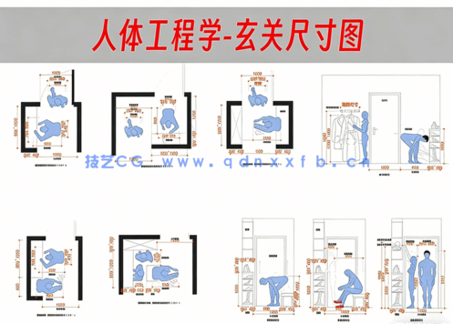 2023最新全屋人体工程学尺寸参考 l CAD图集(图6)