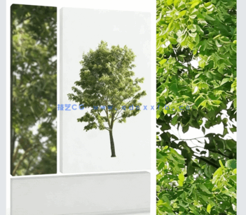  角落树PNG免抠素材Forest/Digital Vol. 3 – Corner trees(图3)