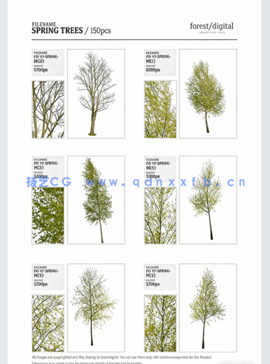  高清PNG素材春季树木Forest/Digital Vol. 2 – Spring(图4)