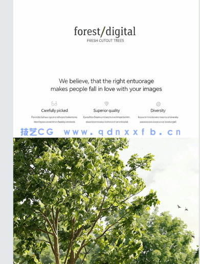 超高清树木PNG素材Forest/Digital Vol. 1 – Trees(图1)