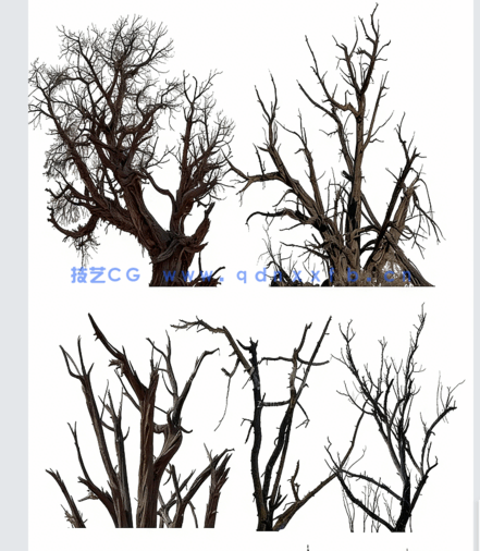  高清枯树免抠素材(图1)